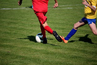 中超球员比赛热度曲线与表现匹配模型，中超热身赛