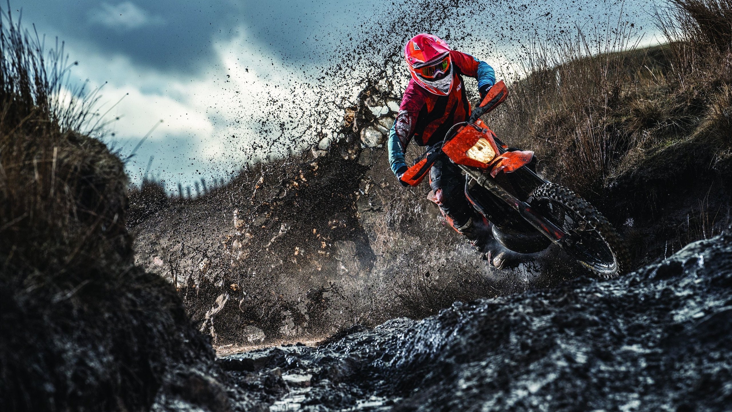 印度赛制解析：全球化背景下的本土发展，印度赛区