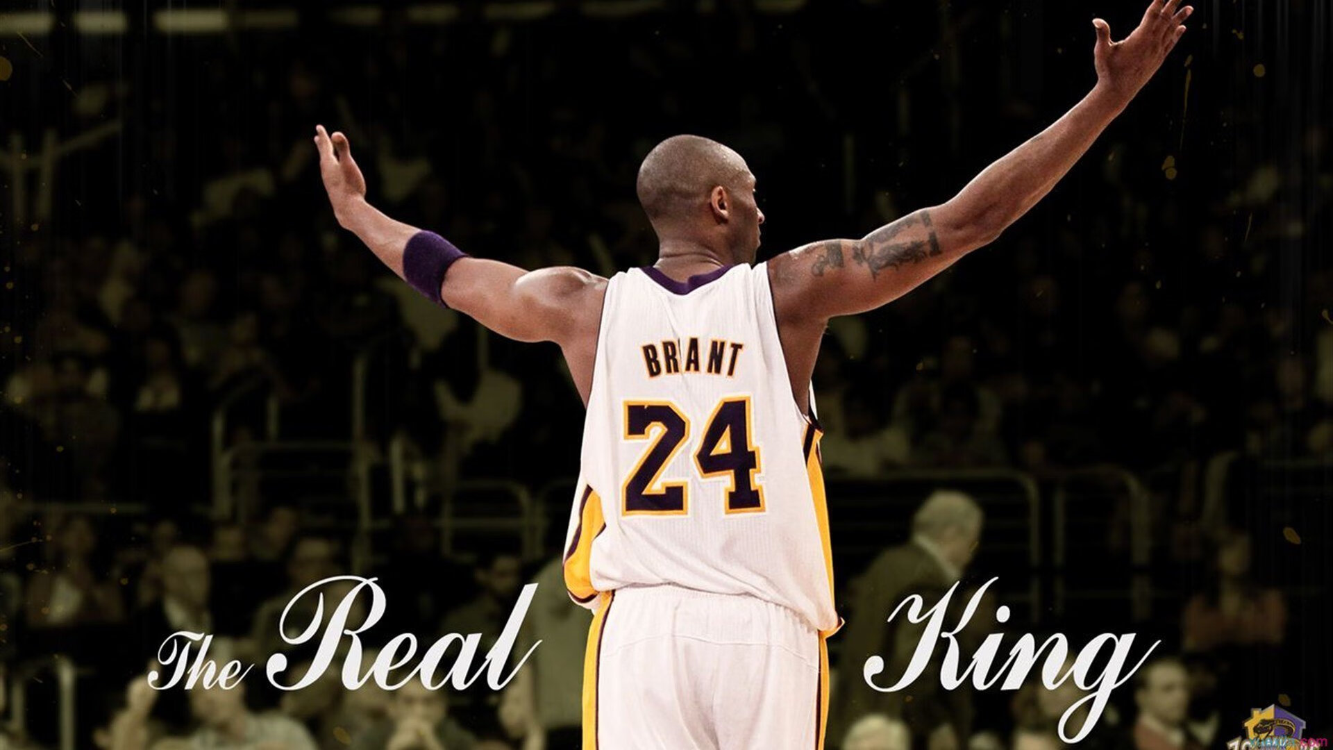 意甲球队基于视听反馈同步系统改善换位跑动配合